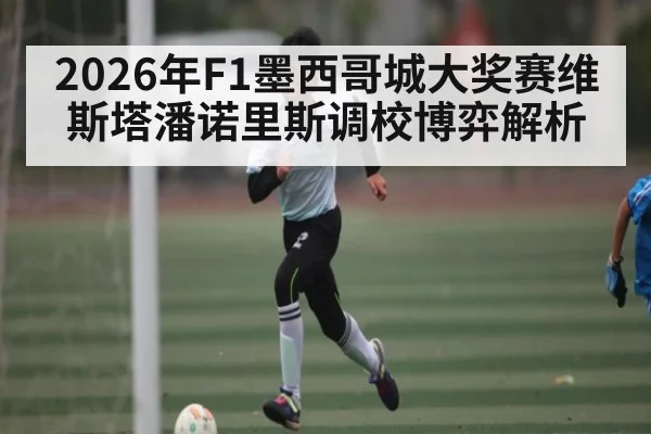 2026年F1墨西哥城大奖赛维斯塔潘诺里斯调校博弈解析
